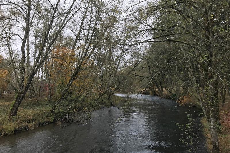 North Santiam River