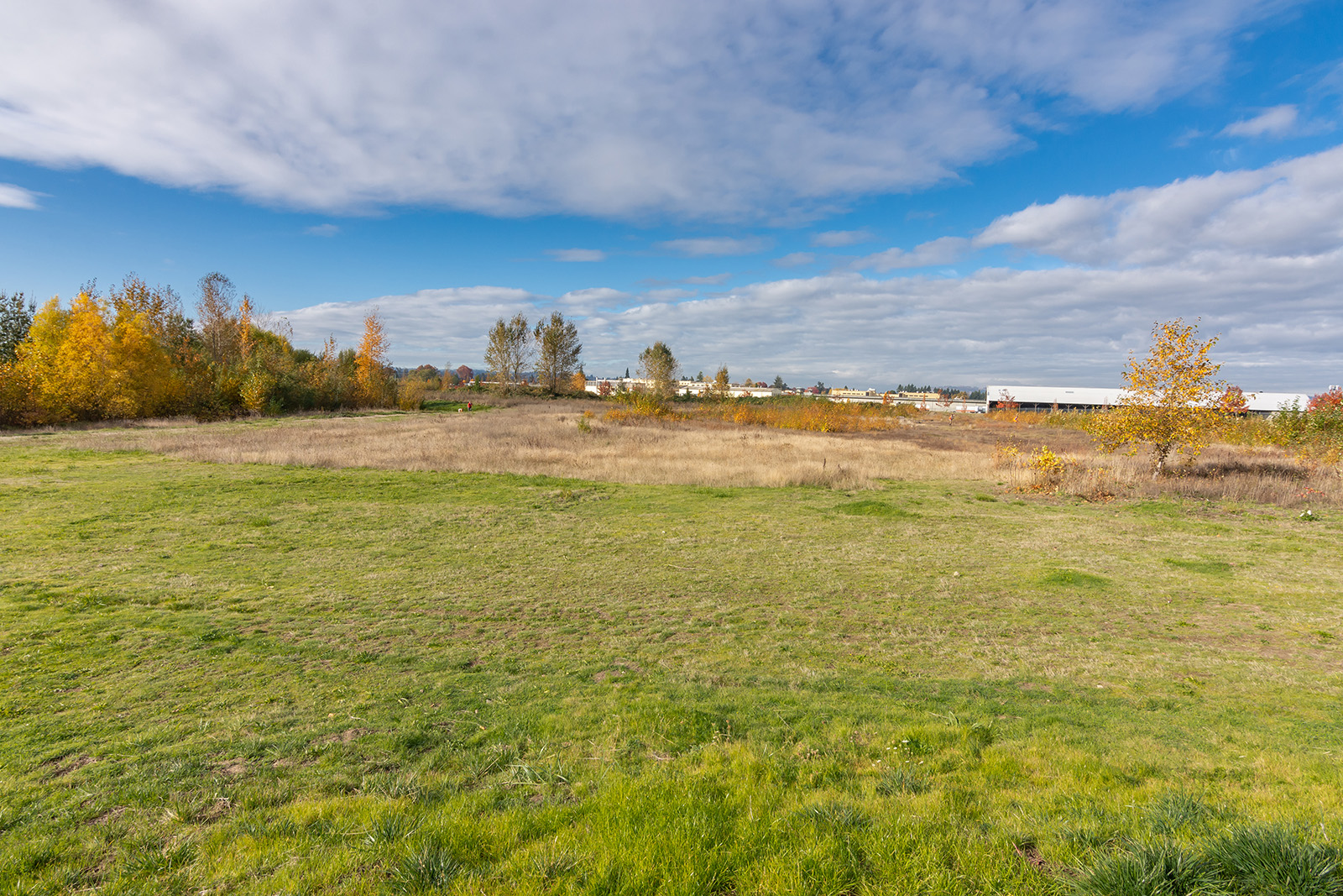 Geer Park field