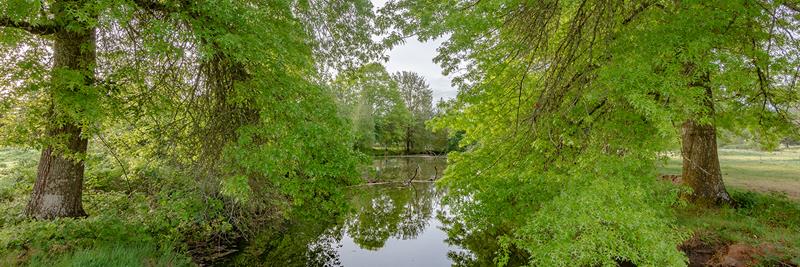 Battle Creek Park