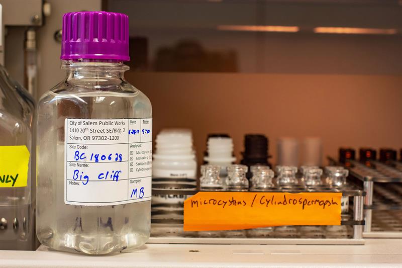 water sample from big cliff dam and cyanotoxin testing rack