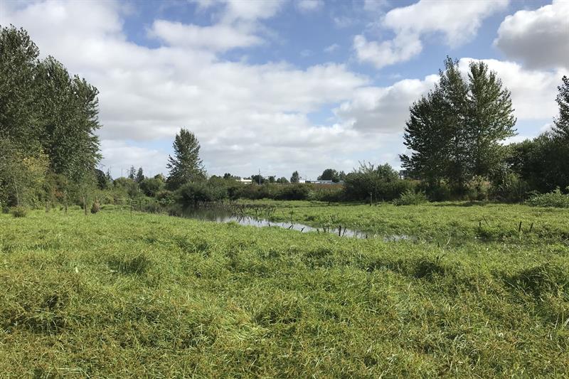 claggett creek wetlands