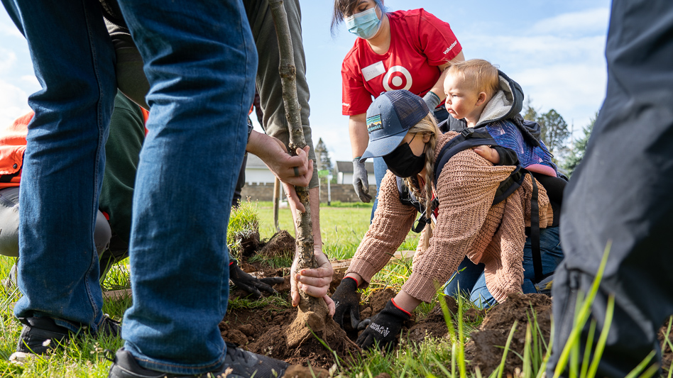 Woman with baby in carrier help plant tree