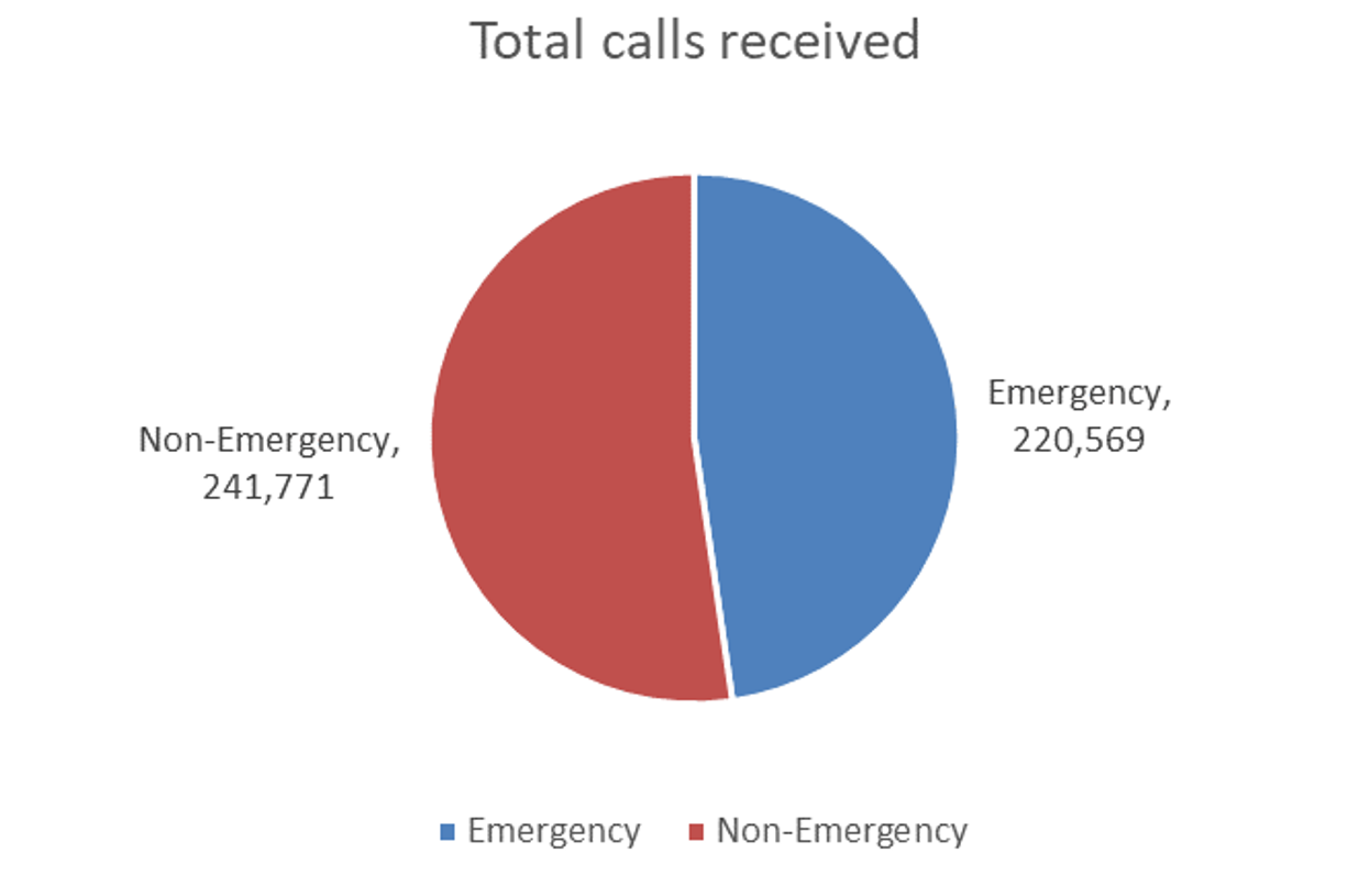 Total calls 2021 pie chart