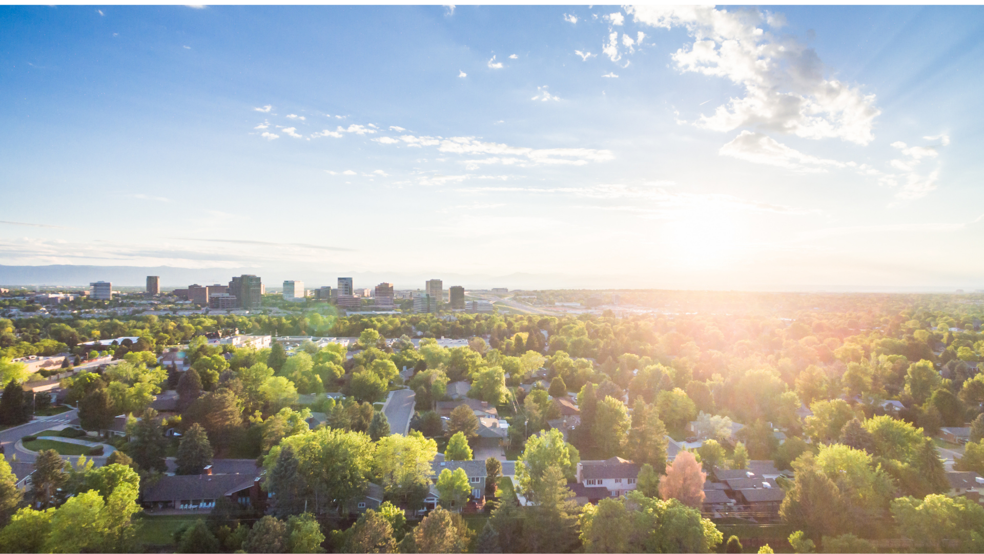 Ariel view of neighborhood with trees.