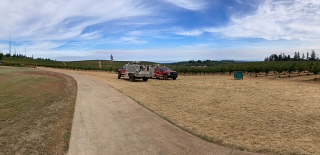 Fire Truck near grape vines