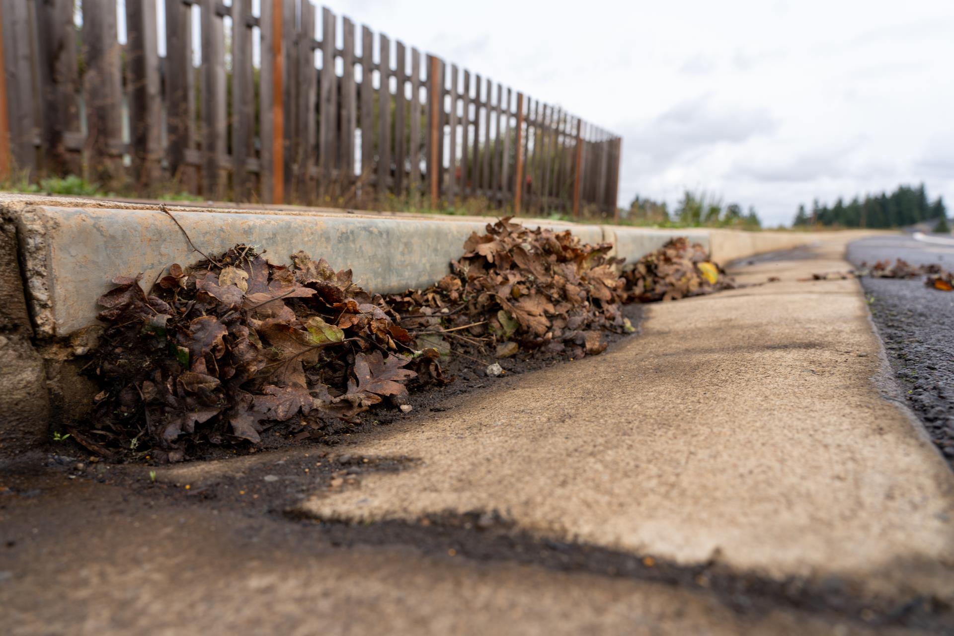 Leaves in a gutter