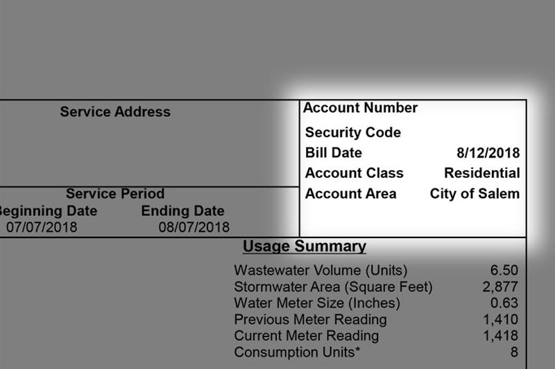 Customer account information