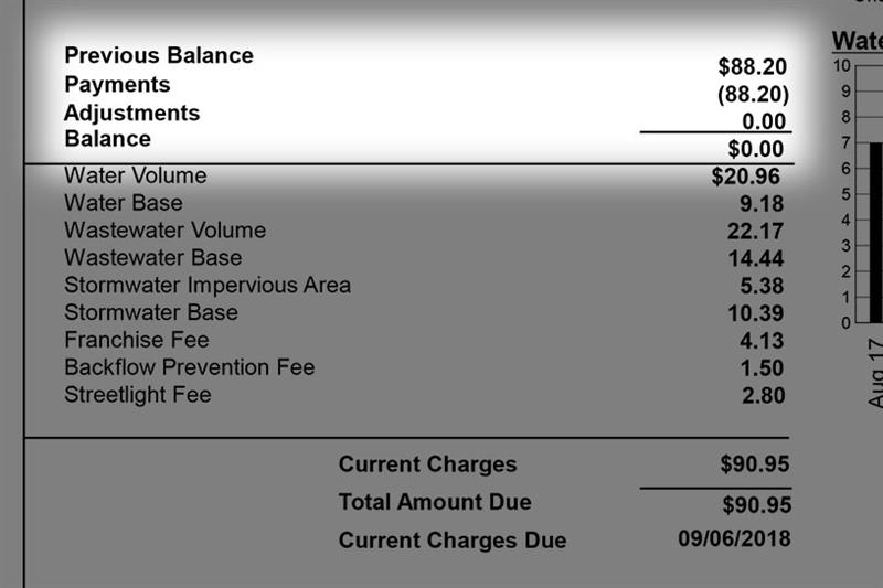 Balance summary