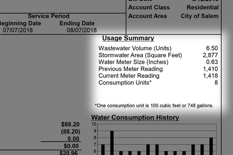 Usage summary